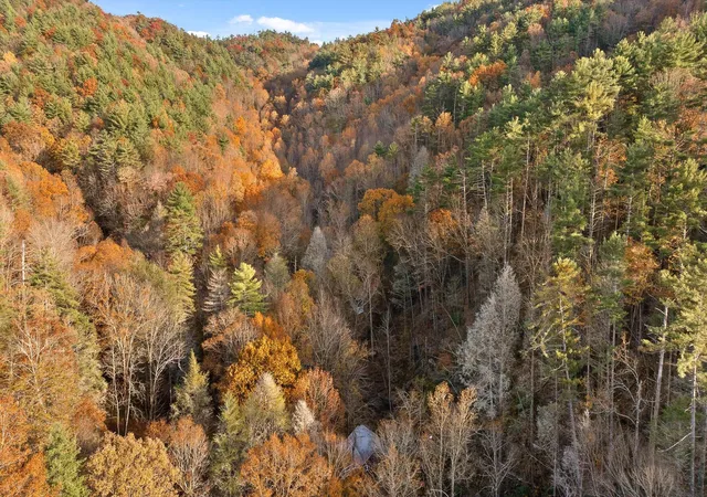 Homes for sale in Ellijay, GA | 180 Cohutta Forest Rd, Ellijay, GA 30540 | MLS# 1524175