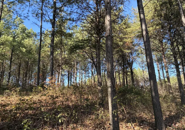 Homes for sale in Guild, TN | 4690 Split Rail Way #1359, Guild, TN 37340 | MLS# 1524433