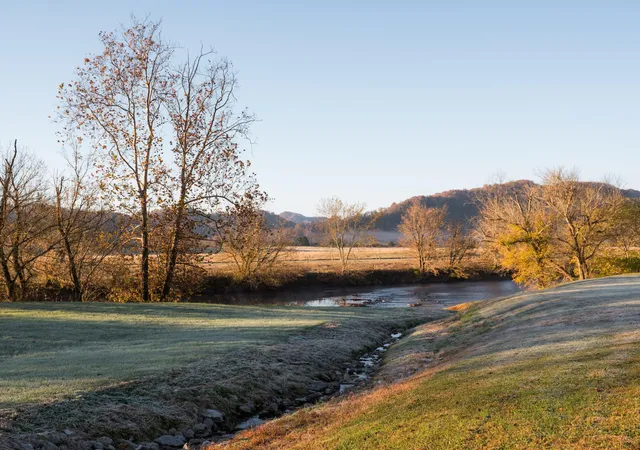 77th image of 7456 A P Carter Hwy, Hiltons, VA 24258 | MLS# 1524223