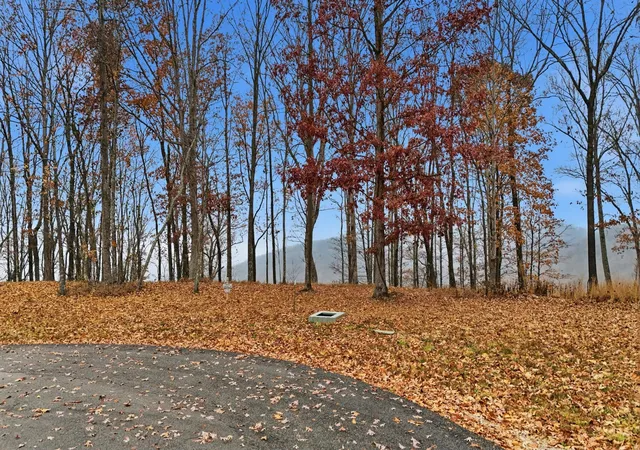 3rd image of 361 Volunteer St, Jasper, TN 37347 | MLS# 1524320