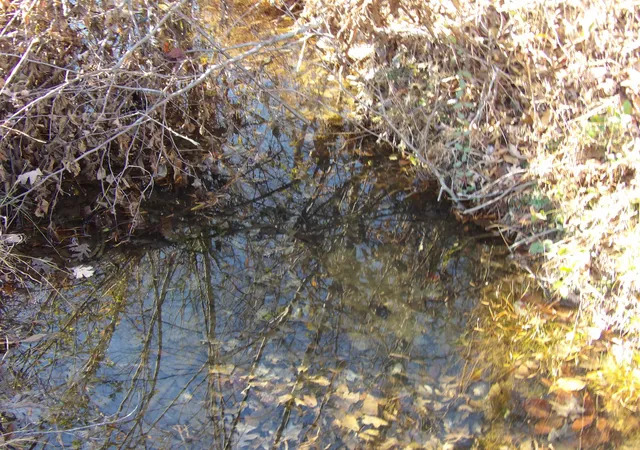 4th image of Lot 26 Summercity Rd, Evensville, TN 37332 | MLS# 1524448