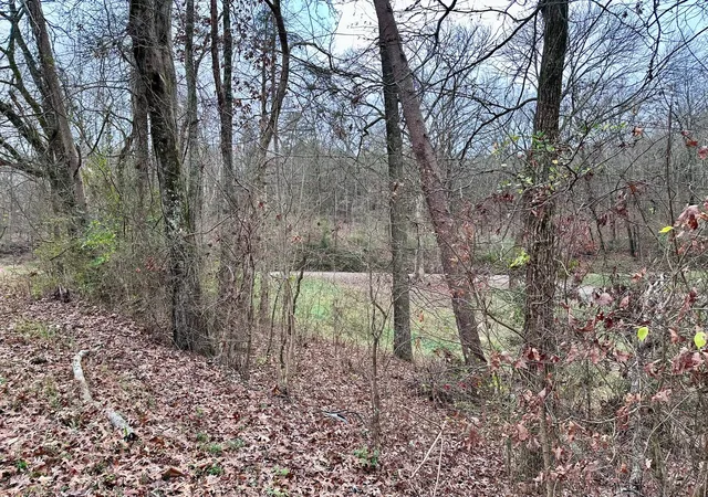 Photo 3 of Land for sale at 302 Brumlow Holw Rd, Soddy Daisy, TN 37379 | MLS# 1524796 | Listing updated on 2025-12-04