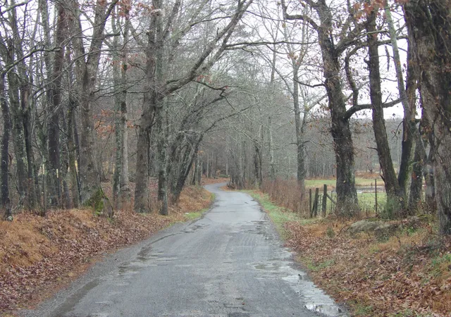 Photo 3 of Land for sale at 340 Randell Harris Rd, Evensville, TN 37332 | MLS# 1525178 | Listing updated on 2026-07-27