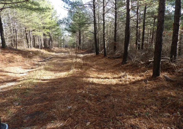 Photo 3 of Land for sale at 340 Randell Harris Rd, Evensville, TN 37332 | MLS# 1525178 | Listing updated on 2026-07-27
