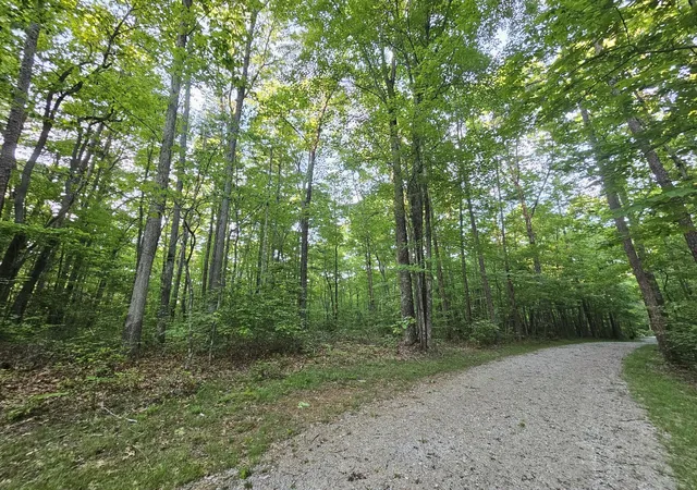 Homes for sale in Coalmont, TN | 3 Savage Highland Dr #Sw1e, Coalmont, TN 37313 | MLS# 1525516