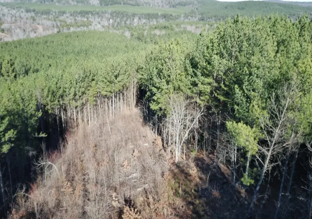 Homes for sale in Soddy Daisy, TN | 0 Three Gorges Rd #Lot 3, Soddy Daisy, TN 37379 | MLS# 1526637