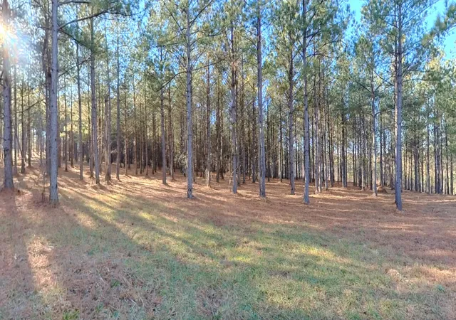 Homes for sale in Soddy Daisy, TN | 0 Three Gorges Rd #Lot 3, Soddy Daisy, TN 37379 | MLS# 1526637
