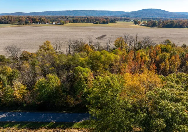 Homes for sale in Hillsboro, TN | 0 Old Airport Rd #Lot 7, Hillsboro, TN 37342 | MLS# 1525615
