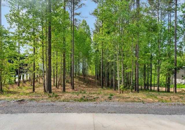 Photo 3 of Land for sale at 1755 Birds Eye Way #1072, Guild, TN 37340 | MLS# 1532379 | Listing updated on 2026-09-23
