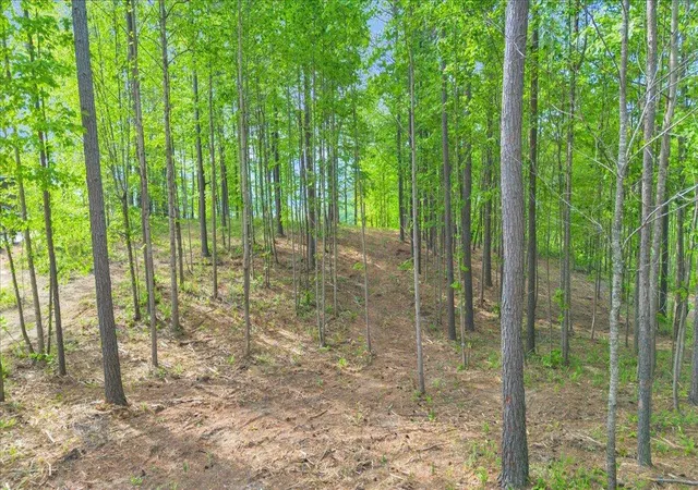 Photo 3 of Land for sale at 1755 Birds Eye Way #1072, Guild, TN 37340 | MLS# 1532379 | Listing updated on 2026-09-23