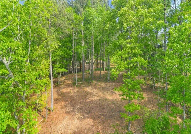 Photo 4 of Land for sale at 1755 Birds Eye Way #1072, Guild, TN 37340 | MLS# 1532379 | Listing updated on 2026-09-23