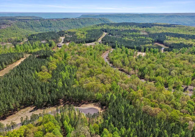 Photo 3 of Land for sale at 0 Honeybee Ct #JF409, Jasper, TN 37347 | MLS# 1526228 | Listing updated on 2026-01-08