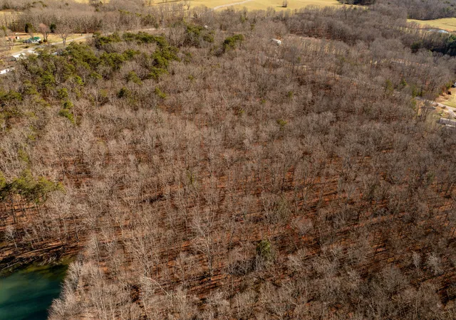 4th image of 803 Joe Groves Rd, Pikeville, TN 37367 | MLS# 1526310