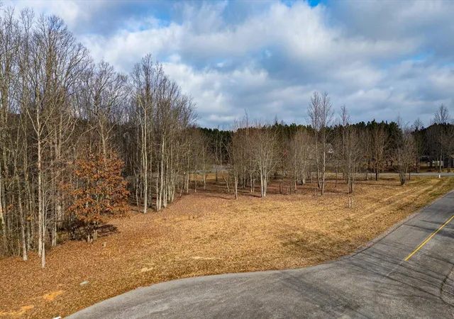 Homes for sale in Jasper, TN | 0 Hovering Hawk Dr #41, Jasper, TN 37347 | MLS# 1526817