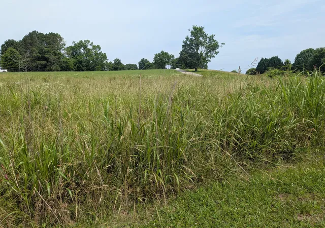 Homes for sale in Dayton, TN | Lot #2 Riverbend Dr, Dayton, TN 37321 | MLS# 1527006