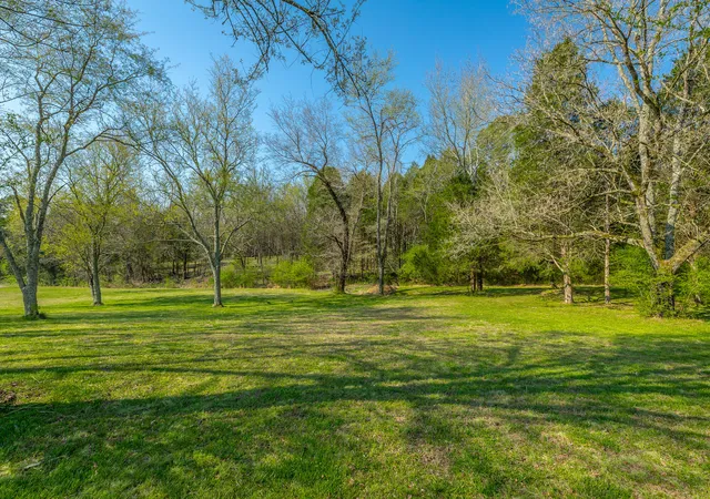 Homes for sale in Spring City, TN | 266 Lenore Ln, Spring City, TN 37381 | MLS# 1527368