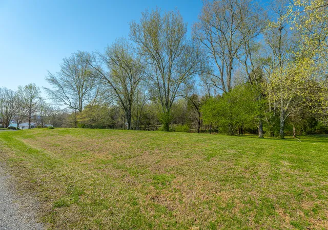 4th image of 266 Lenore Ln, Spring City, TN 37381 | MLS# 1527368