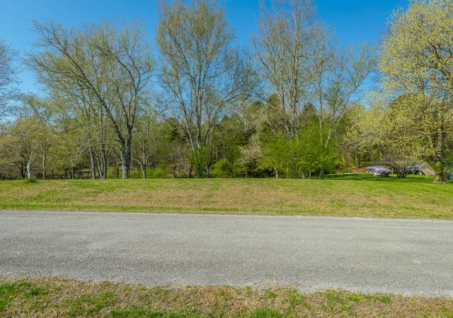 5th image of 266 Lenore Ln, Spring City, TN 37381 | MLS# 1527368