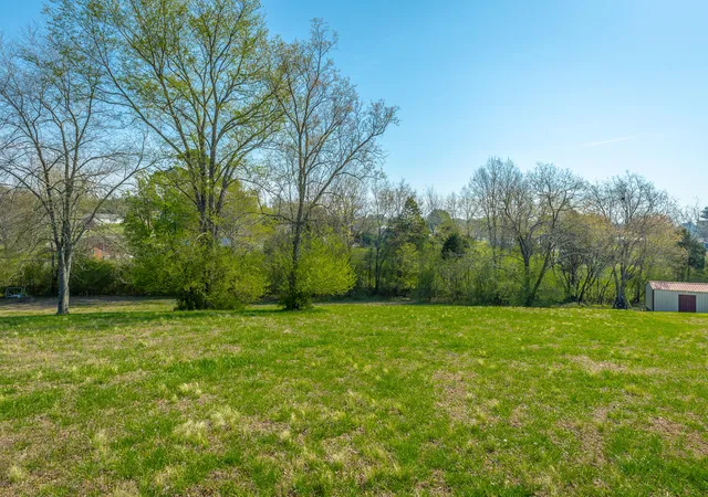 Homes for sale in Spring City, TN | 273 Lenore Ln, Spring City, TN 37381 | MLS# 1527367