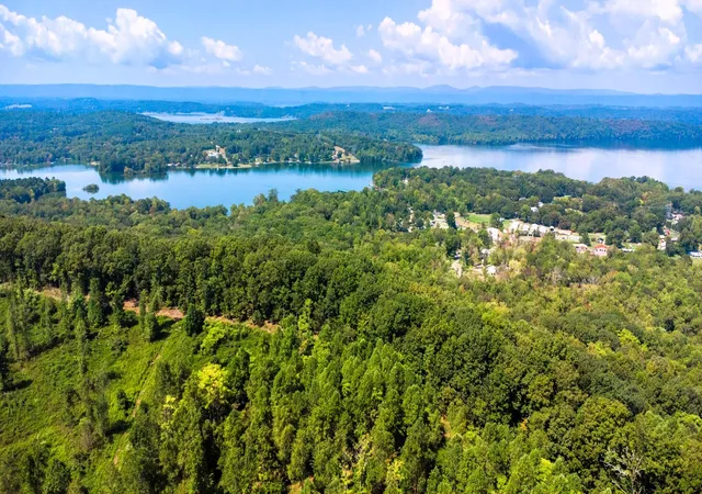 Homes for sale in Ten Mile, TN | Lakeview 1 Hwy 304, Ten Mile, TN 37380 | MLS# 1527301