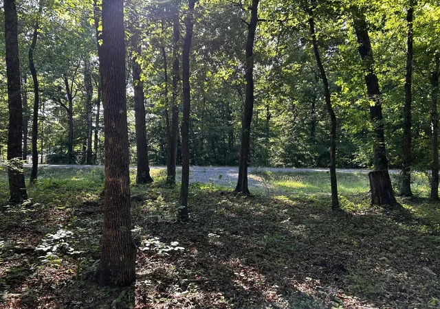 Homes for sale in Ten Mile, TN | Lakeview 1 Hwy 304, Ten Mile, TN 37380 | MLS# 1527301