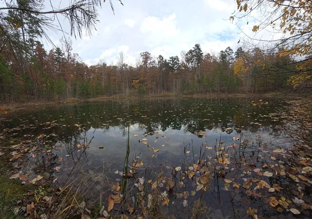 12th image of 0 Bobcat Trl, Dunlap, TN 37327 | MLS# 1527366