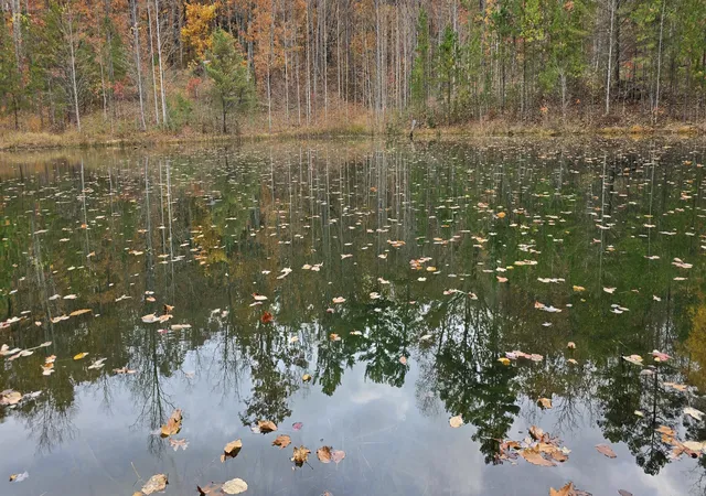 2nd image of 0 Bobcat Trl, Dunlap, TN 37327 | MLS# 1527366