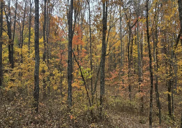 image of 0 Bobcat Trl, Dunlap, TN 37327 | MLS# 1527366