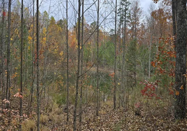 image of 0 Bobcat Trl, Dunlap, TN 37327 | MLS# 1527366