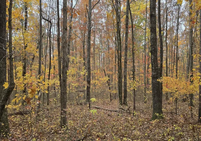 image of 0 Bobcat Trl, Dunlap, TN 37327 | MLS# 1527366