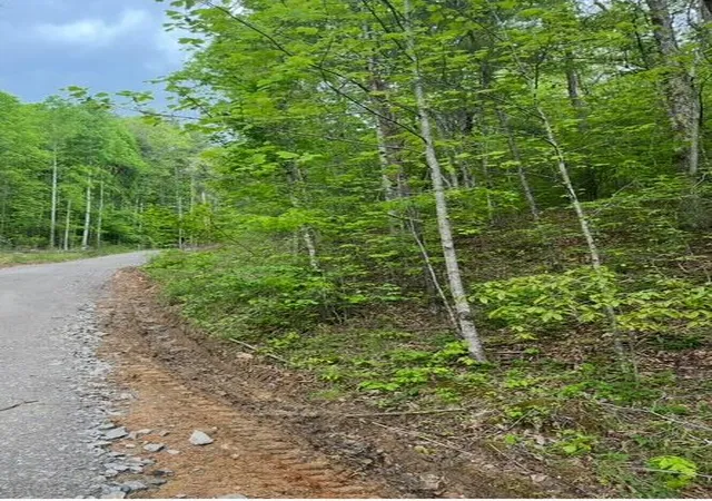 Photo 3 of Land for sale at 0 Possum Trot Rd, Grandview, TN 37337 | MLS# 1527622 | Listing updated on 2026-01-30