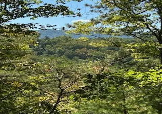 2nd image of 61 Acres Chestnut Valley Rd, Vonore, TN 37885 | MLS# 1528310