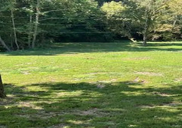5th image of 61 Acres Chestnut Valley Rd, Vonore, TN 37885 | MLS# 1528310