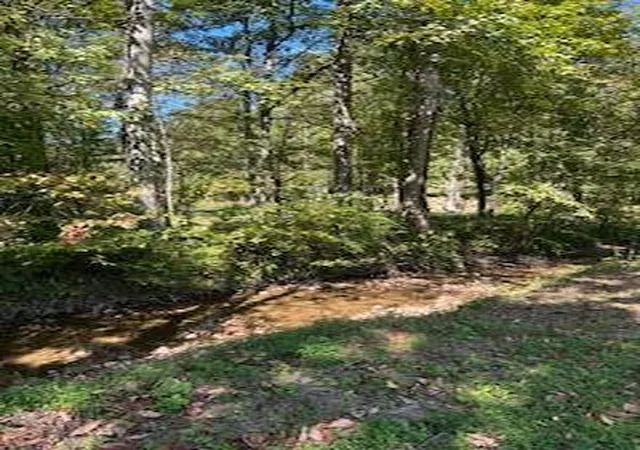 7th image of 61 Acres Chestnut Valley Rd, Vonore, TN 37885 | MLS# 1528310