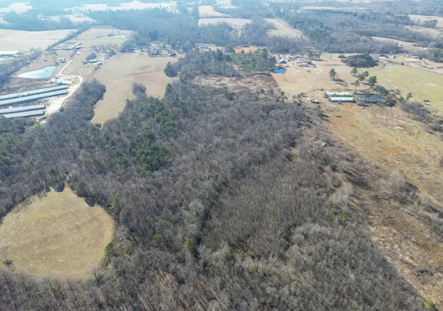 Homes for sale in Henagar, AL | 40Acs County Road 322, Henagar, AL 35978 | MLS# 1533947