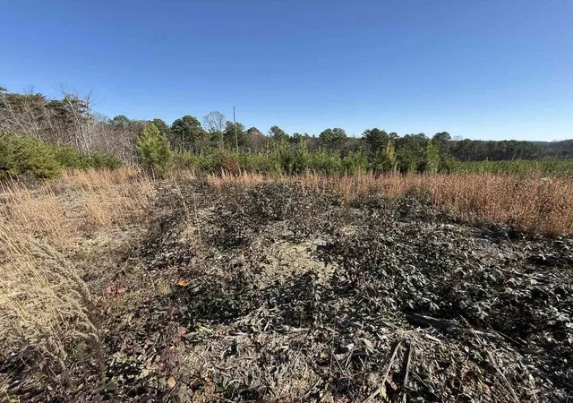 Photo 3 of Land for sale at 0 St Rt 399 #1, Dunlap, TN 37327 | MLS# 1528373 | Listing updated on 2026-07-29