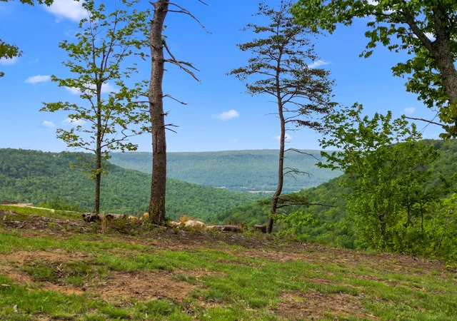 2nd image of 235 Pine Knot Pass, Jasper, TN 37347 | MLS# 1528535