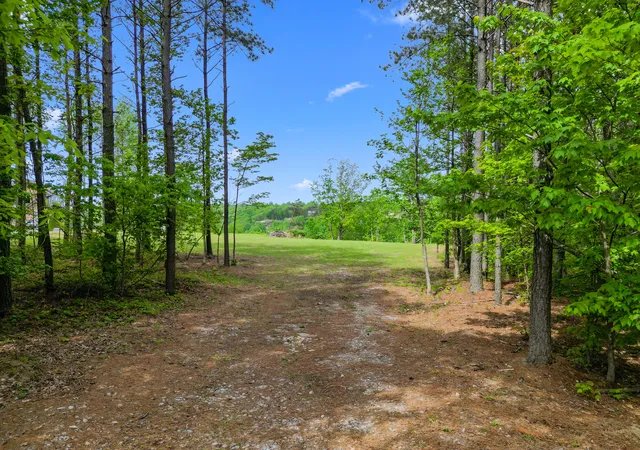 36th image of 235 Pine Knot Pass, Jasper, TN 37347 | MLS# 1528535