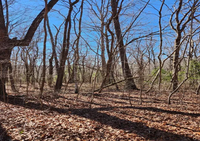 Photo 4 of Land for sale at 18 Devon Loop #18, Crossville, TN 38558 | MLS# 1528701 | Listing updated on 2026-02-17