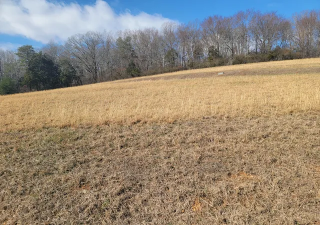 Photo 2 of Land for sale at Lot 38 Goodfield Terrance, Decatur, TN 37322 | MLS# 1528996 | Listing updated on 2026-02-20
