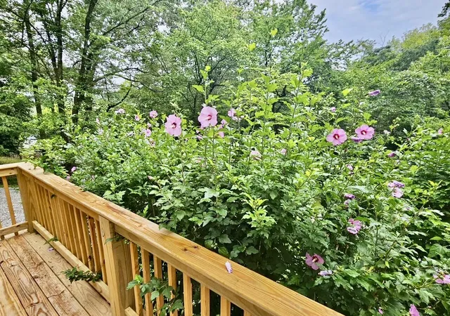Photo 4 of Sale Pending at 4110 Mccahill Rd, Chattanooga, TN 37415 | MLS# 1532258 | Listing updated on 2026-09-15