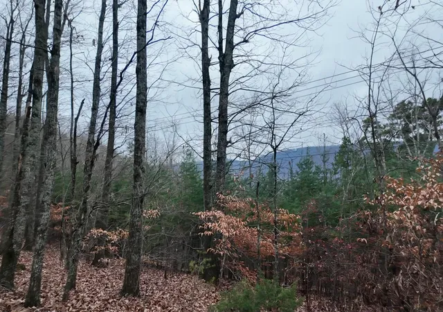 2nd image of 7943 Harper Rd, Hixson, TN 37343 | MLS# 1529355