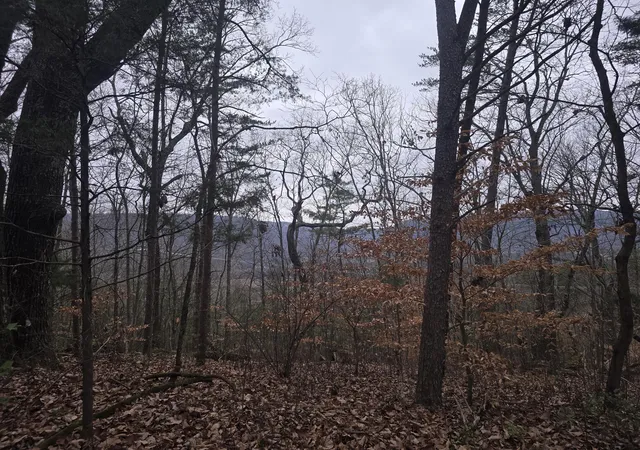 Photo 3 of Land for sale at 7943 Harper Rd, Hixson, TN 37343 | MLS# 1529355 | Listing updated on 2026-02-27