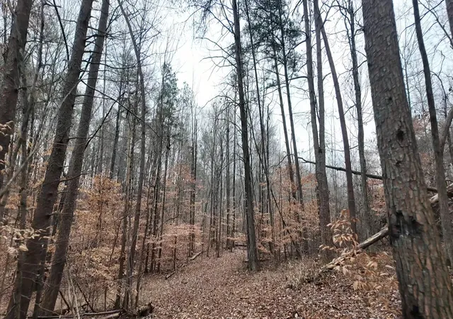 Photo 3 of Land for sale at 7943 Harper Rd, Hixson, TN 37343 | MLS# 1529355 | Listing updated on 2026-02-27