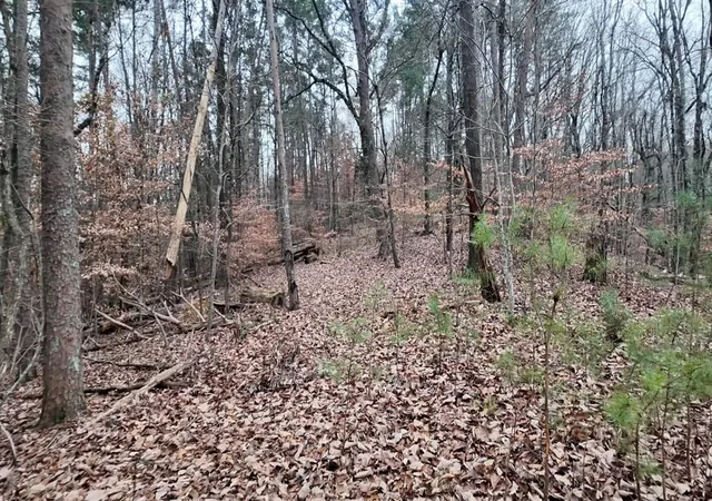 Photo 4 of Land for sale at 7943 Harper Rd, Hixson, TN 37343 | MLS# 1529355 | Listing updated on 2026-02-27