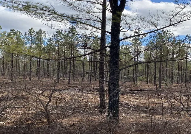 Photo 2 of Land for sale at Lot 5 Thomas Springs Rd #5, Crossville, TN 38572 | MLS# 1529377 | Listing updated on 2026-02-27