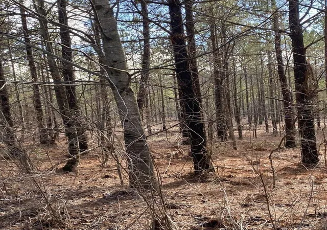 Photo 3 of Land for sale at Lot 5 Thomas Springs Rd #5, Crossville, TN 38572 | MLS# 1529377 | Listing updated on 2026-02-27