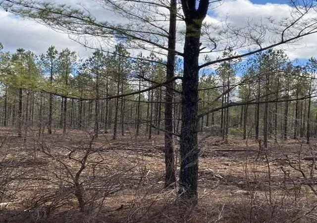 Photo 2 of Land for sale at Lot 7 Thomas Springs Rd #7, Crossville, TN 38572 | MLS# 1529380 | Listing updated on 2026-02-27