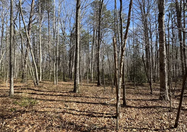 2nd image of 00 Cane Creek Rd #44, Dunlap, TN 37327 | MLS# 1529455