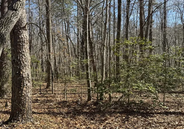31st image of 00 Cane Creek Rd #44, Dunlap, TN 37327 | MLS# 1529455